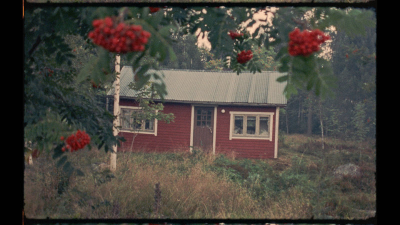 En röd liten sommarstuga från filmen "att sälja en sommarstuga". Foto: Marko Luukkonen.