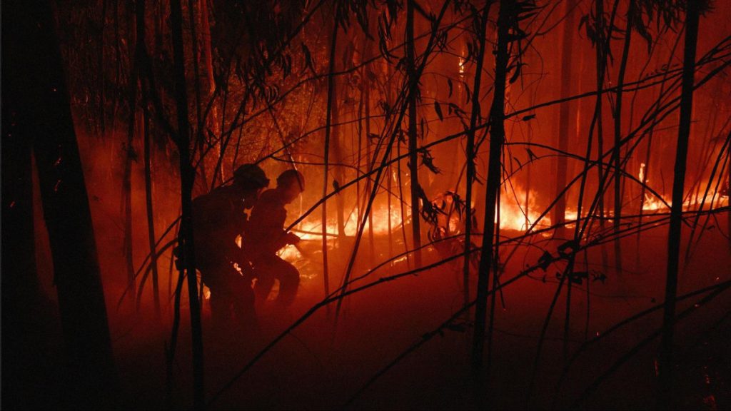 Brandmän